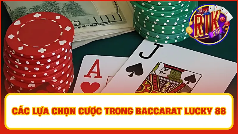 Đảm bảo quy định và tính công bằng cho người tham gia